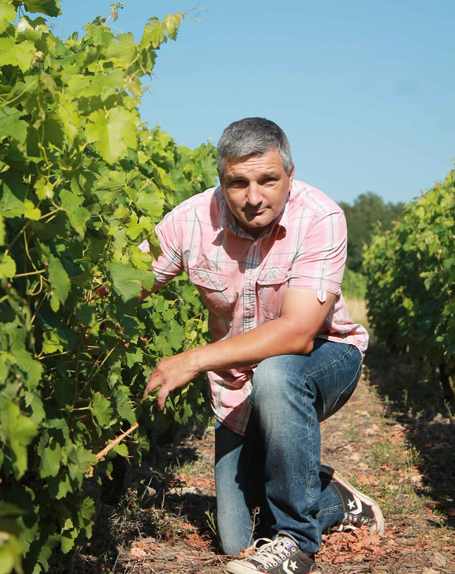 Raphaël Midoir in one of his Sauvignon Blanc vineyards