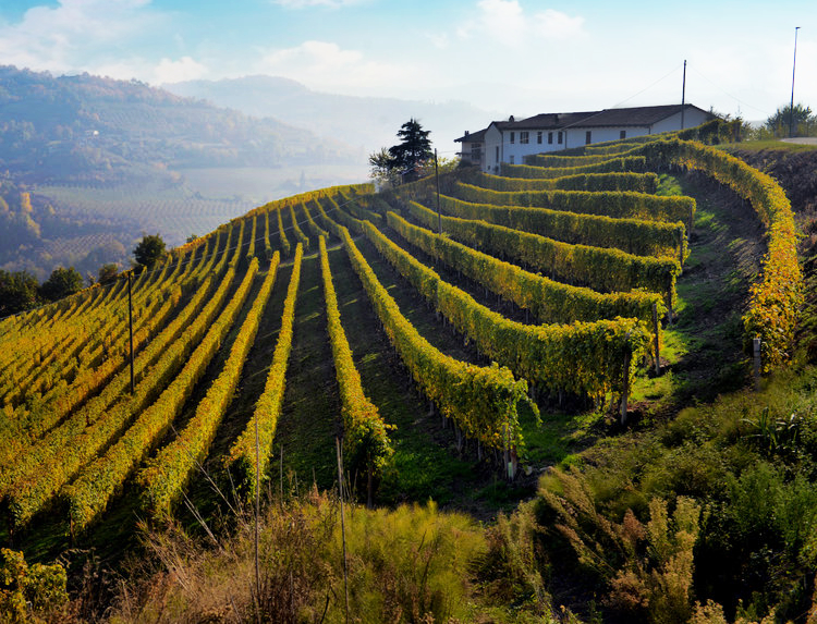 Gorgeous view from the vineyards of Bricco dei Tati
