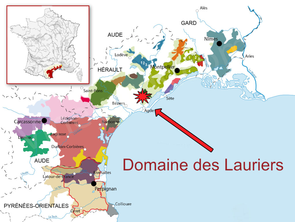 Domaine des Lauries