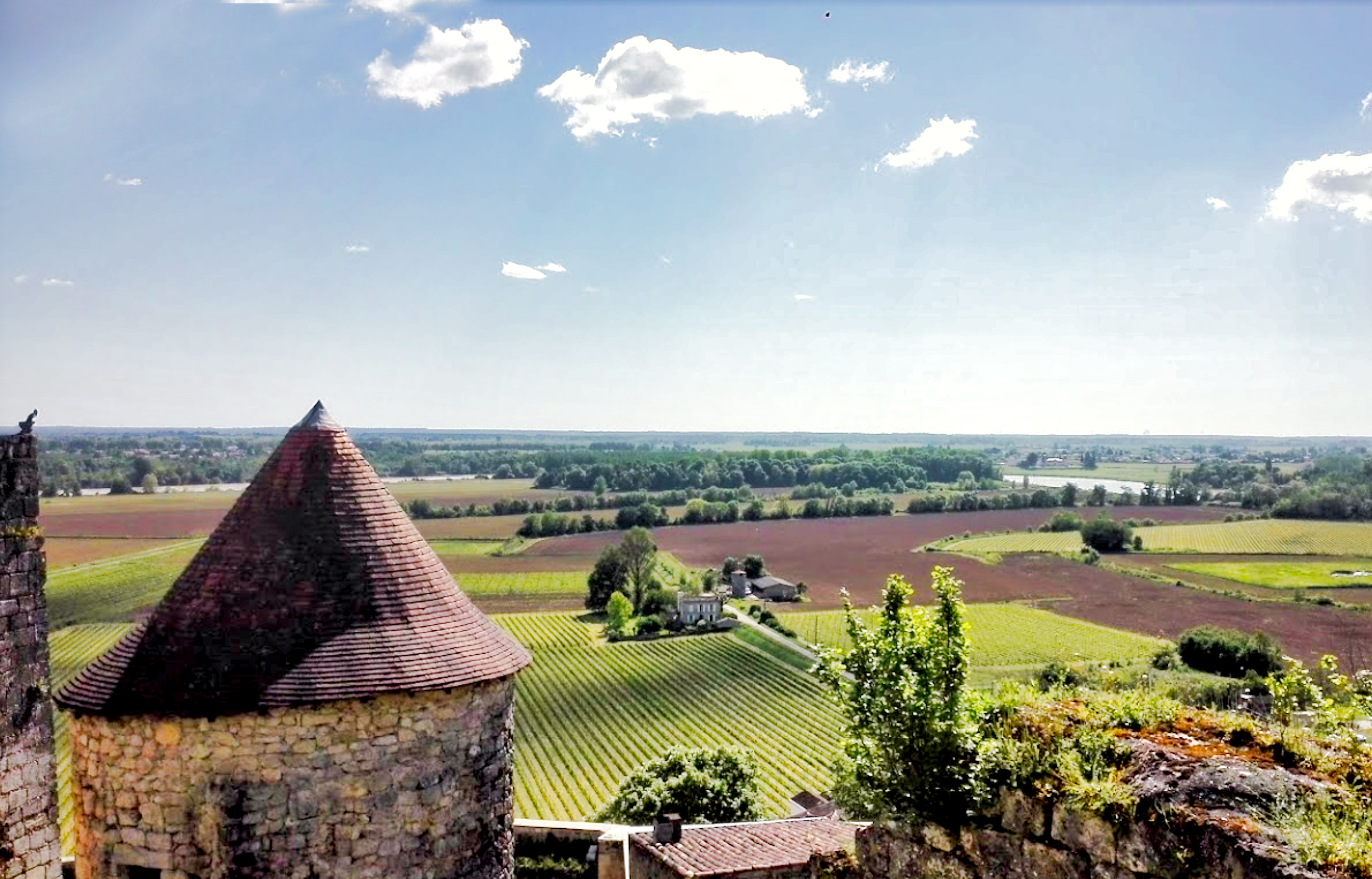 Lestiac-Sur-Garrone vineyards - photo credit Sophie Fontenay